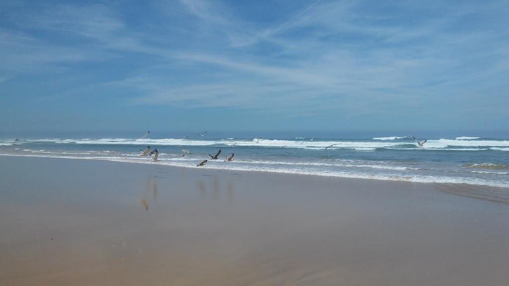 Apartamentos Bau-Doce Cercal do Alentejo Phòng bức ảnh