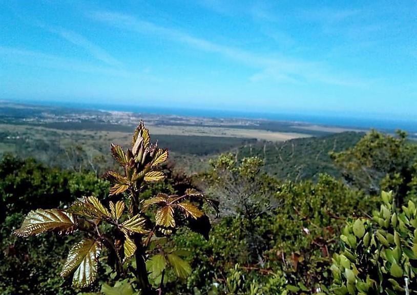 Apartamentos Bau-Doce Cercal do Alentejo Ngoại thất bức ảnh